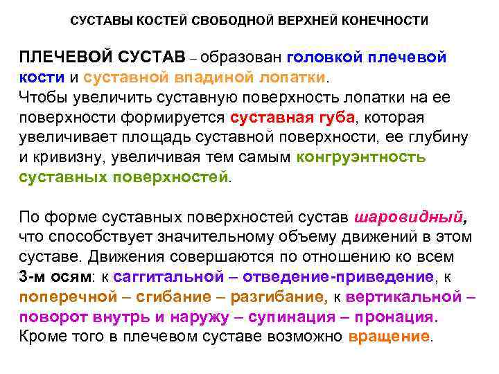 СУСТАВЫ КОСТЕЙ СВОБОДНОЙ ВЕРХНЕЙ КОНЕЧНОСТИ ПЛЕЧЕВОЙ СУСТАВ – образован головкой плечевой кости и суставной