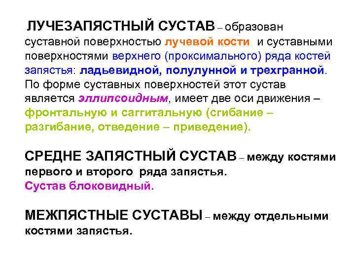 ЛУЧЕЗАПЯСТНЫЙ СУСТАВ – образован суставной поверхностью лучевой кости и суставными поверхностями верхнего (проксимального) ряда