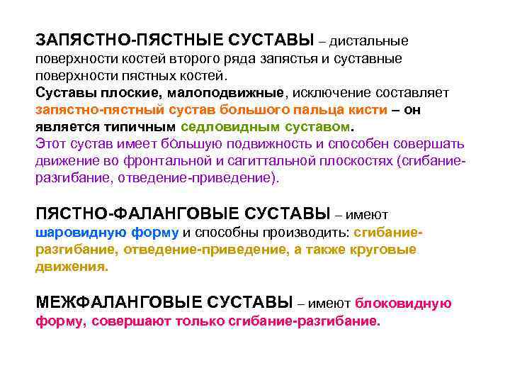 ЗАПЯСТНО-ПЯСТНЫЕ СУСТАВЫ – дистальные поверхности костей второго ряда запястья и суставные поверхности пястных костей.