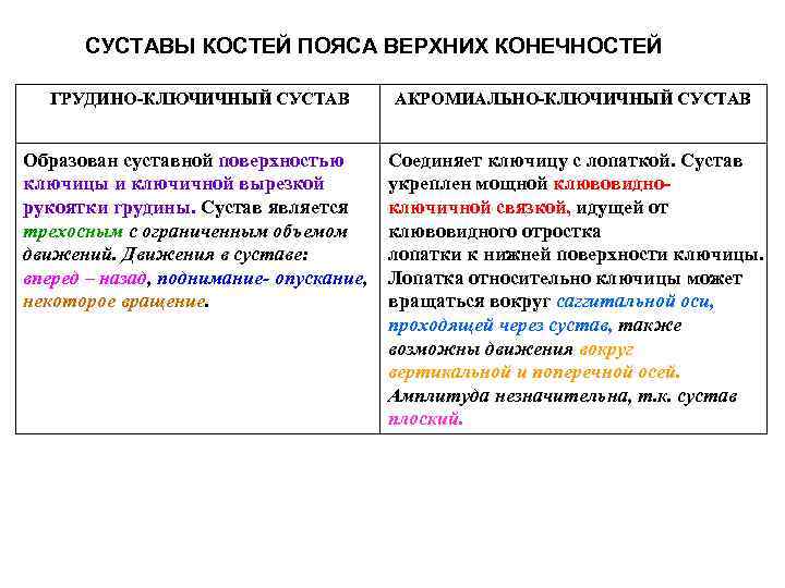 СУСТАВЫ КОСТЕЙ ПОЯСА ВЕРХНИХ КОНЕЧНОСТЕЙ ГРУДИНО-КЛЮЧИЧНЫЙ СУСТАВ АКРОМИАЛЬНО-КЛЮЧИЧНЫЙ СУСТАВ Образован суставной поверхностью ключицы и