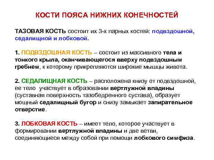 КОСТИ ПОЯСА НИЖНИХ КОНЕЧНОСТЕЙ ТАЗОВАЯ КОСТЬ состоит их 3 -х парных костей: подвздошной, седалищной