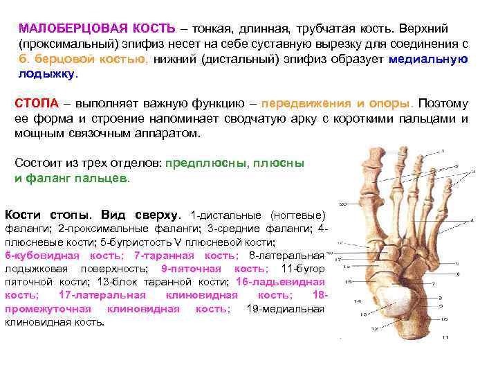 Перелом пальца стопы карта вызова