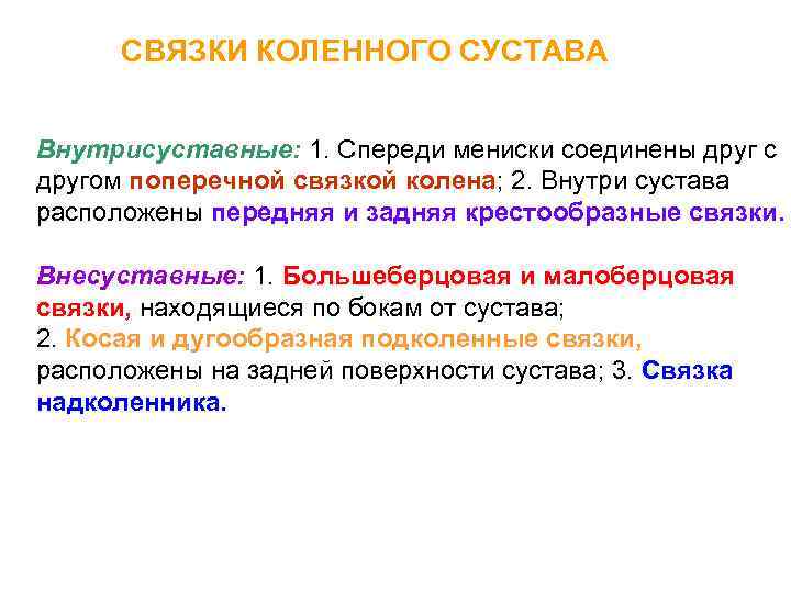 СВЯЗКИ КОЛЕННОГО СУСТАВА Внутрисуставные: 1. Спереди мениски соединены друг с другом поперечной связкой колена;