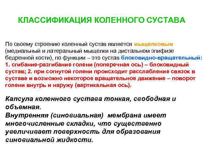 КЛАССИФИКАЦИЯ КОЛЕННОГО СУСТАВА По своему строению коленный сустав является мыщелковым (медиальный и латеральный мыщелки