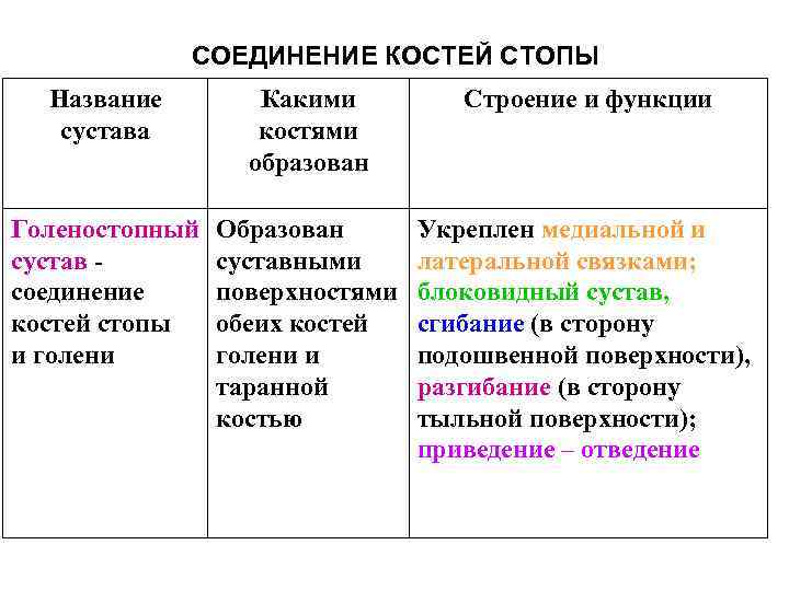 СОЕДИНЕНИЕ КОСТЕЙ СТОПЫ Название сустава Какими костями образован Строение и функции Голеностопный сустав соединение