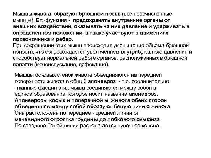 Мышцы живота образуют брюшной пресс (все перечисленные мышцы). Его функция - предохранять внутренние органы