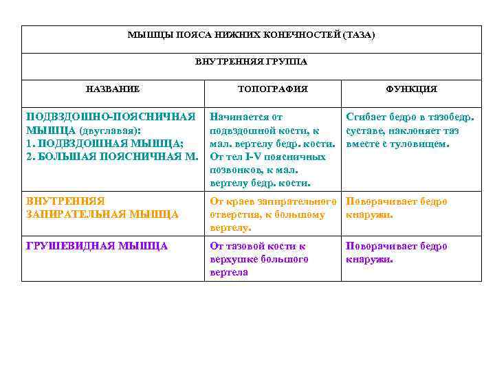 МЫШЦЫ ПОЯСА НИЖНИХ КОНЕЧНОСТЕЙ (ТАЗА) ВНУТРЕННЯЯ ГРУППА НАЗВАНИЕ ТОПОГРАФИЯ ФУНКЦИЯ ПОДВЗДОШНО-ПОЯСНИЧНАЯ МЫШЦА (двуглавая): 1.