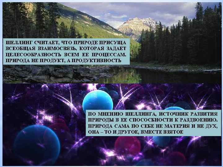 ШЕЛЛИНГ СЧИТАЕТ, ЧТО ПРИРОДЕ ПРИСУЩА ВСЕОБЩАЯ ВЗАИМОСВЯЗЬ, КОТОРАЯ ЗАДАЕТ ЦЕЛЕСООБРАЗНОСТЬ ВСЕМ ЕЕ ПРОЦЕССАМ. ПРИРОДА