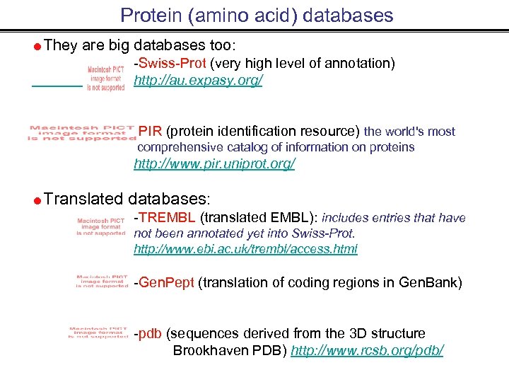 Protein (amino acid) databases They are big databases too: -Swiss-Prot (very high level of