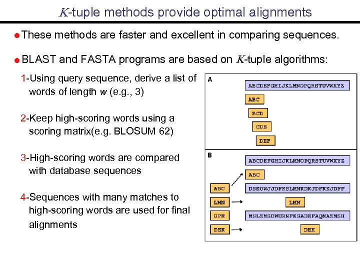  -tuple methods provide optimal alignments These methods are faster and excellent in comparing