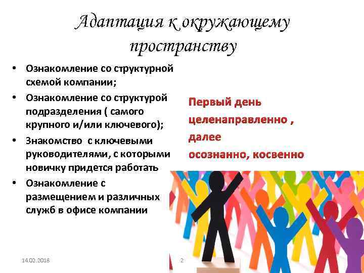 Адаптация к окружающему пространству • Ознакомление со структурной схемой компании; • Ознакомление со структурой