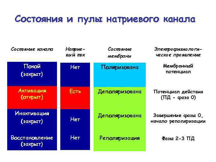 Состояния и пулы натриевого канала Состояние канала Натриевый ток Состояние мембраны Электрофизиологическое проявление Покой