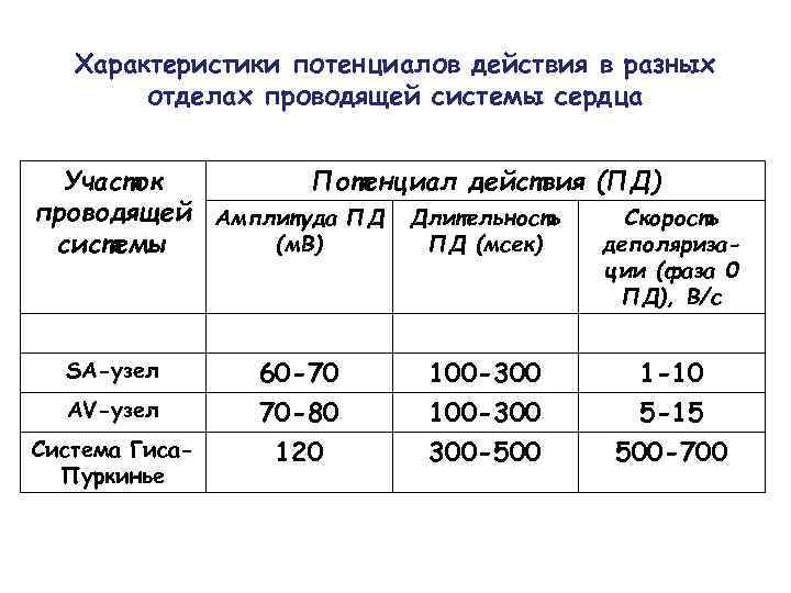 Характеристики потенциалов действия в разных отделах проводящей системы сердца Участок Потенциал действия (ПД) проводящей