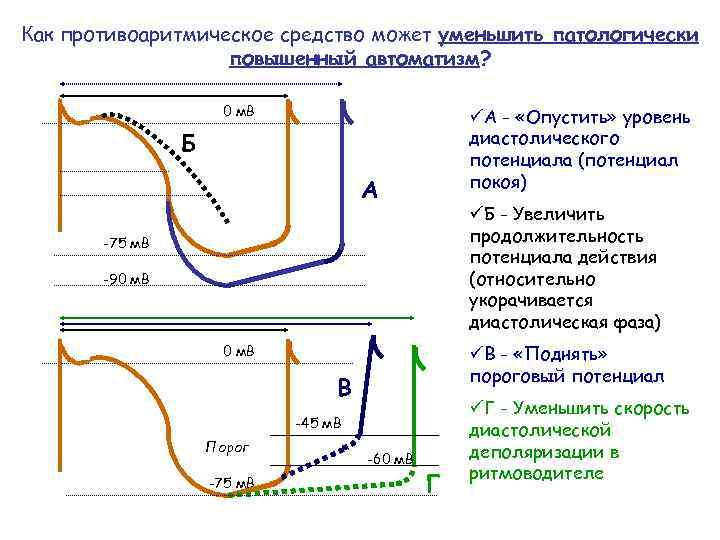 Как противоаритмическое средство может уменьшить патологически повышенный автоматизм? 0 м. В üА - «Опустить»