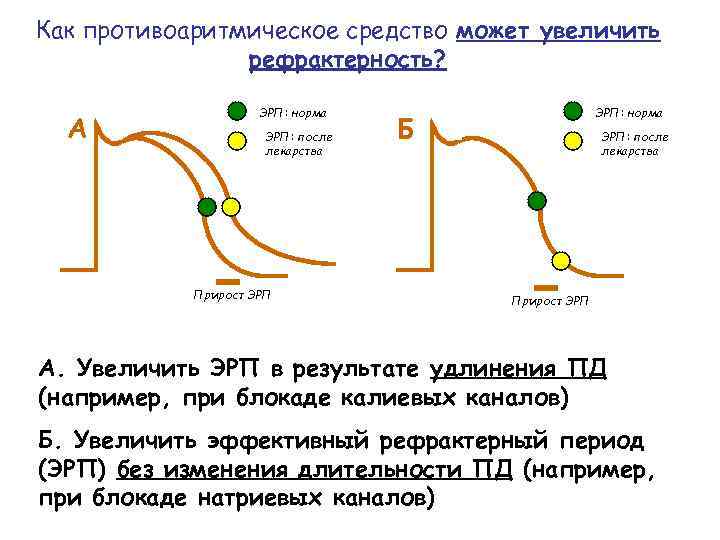 Как противоаритмическое средство может увеличить рефрактерность? А ЭРП: норма ЭРП: после лекарства Прирост ЭРП: