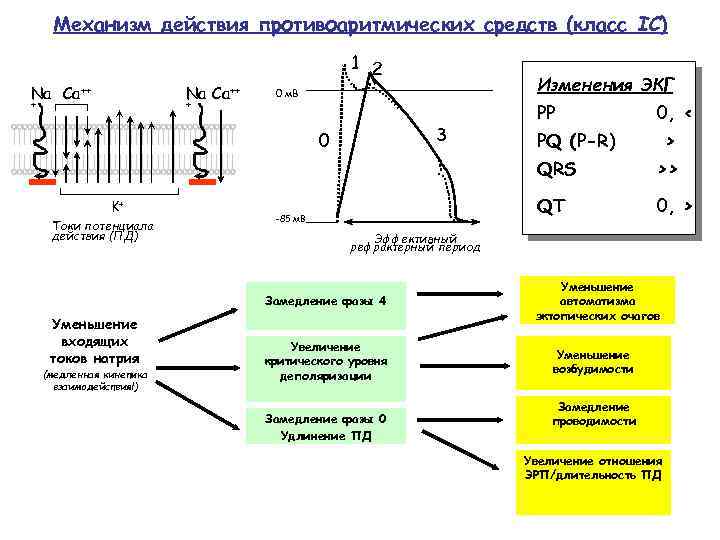 Механизм действия противоаритмических средств (класс IС) 1 2 Na Ca++ + + Изменения ЭКГ