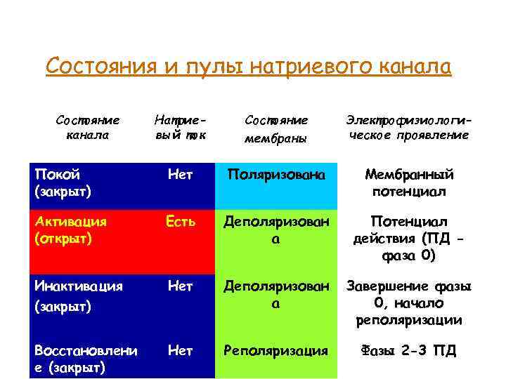 Состояния и пулы натриевого канала Состояние канала Натриевый ток Состояние мембраны Электрофизиологическое проявление Покой