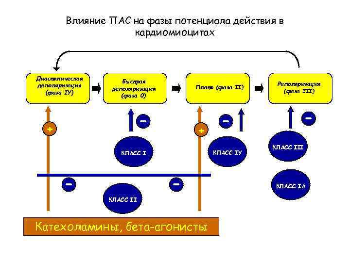Влияние ПАС на фазы потенциала действия в кардиомиоцитах Диастолическая деполяризация (фаза IY) Быстрая деполяризация