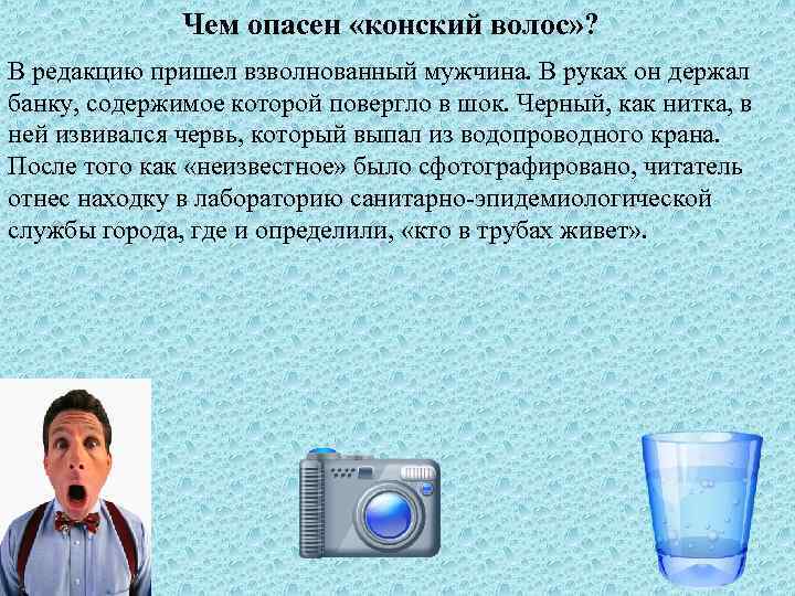 Чем опасен «конский волос» ? В редакцию пришел взволнованный мужчина. В руках он держал