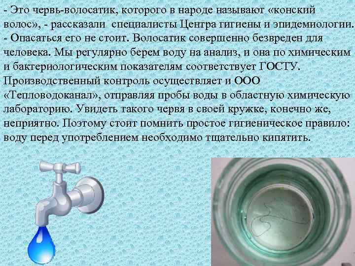  Это червь волосатик, которого в народе называют «конский волос» , рассказали специалисты Центра