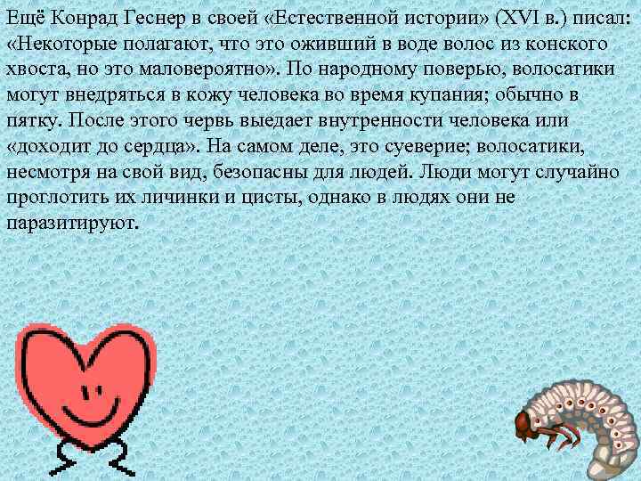 Ещё Конрад Геснер в своей «Естественной истории» (XVI в. ) писал: «Некоторые полагают, что