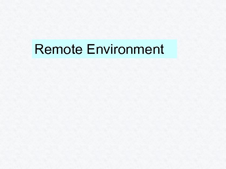 Remote Environment 