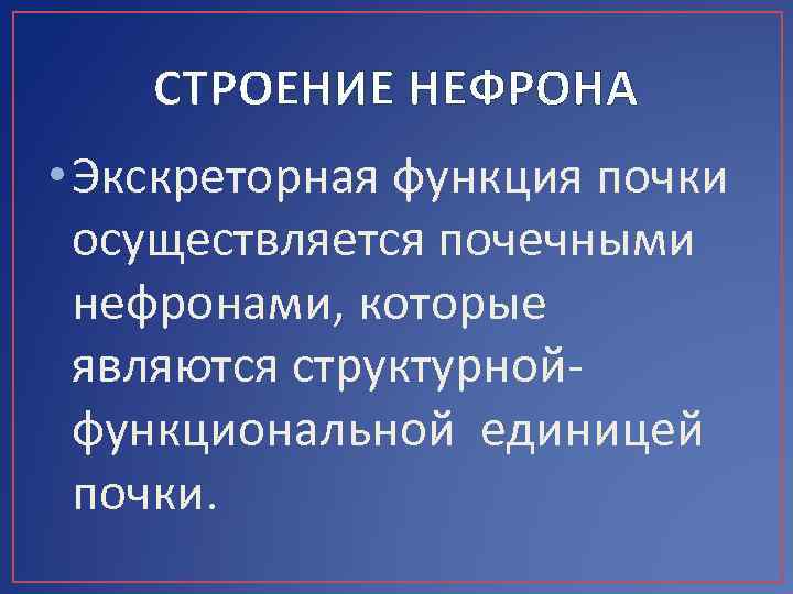 СТРОЕНИЕ НЕФРОНА • Экскреторная функция почки осуществляется почечными нефронами, которые являются структурной функциональной единицей