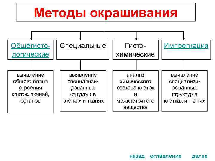 Методы окрашивания Общегистологические Специальные Гистохимические Импрегнация выявление общего плана строения клеток, тканей, органов выявление