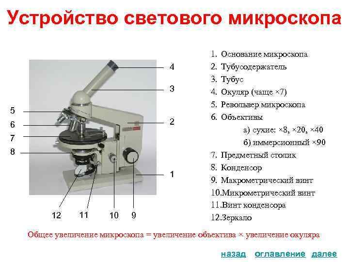 Устройство светового микроскопа 4 3 5 2 6 7 8 1 12 11 10