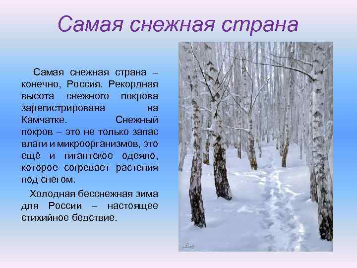 Самая снежная страна. Доклад на тему Россия Снежная Страна. Россия Снежная Страна доклад по географии. Снежный Покров в России презентация.