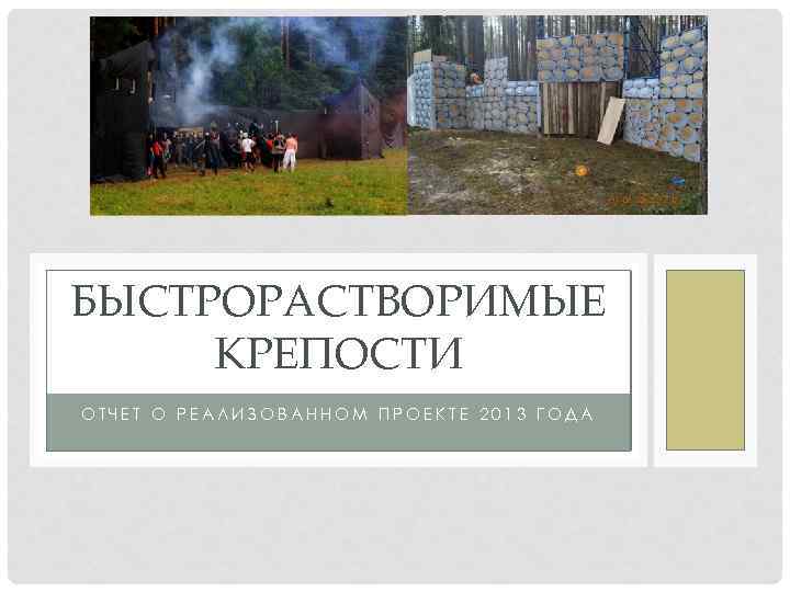 БЫСТРОРАСТВОРИМЫЕ КРЕПОСТИ ОТЧЕТ О РЕАЛИЗОВАННОМ ПРОЕКТЕ 2013 ГОДА 
