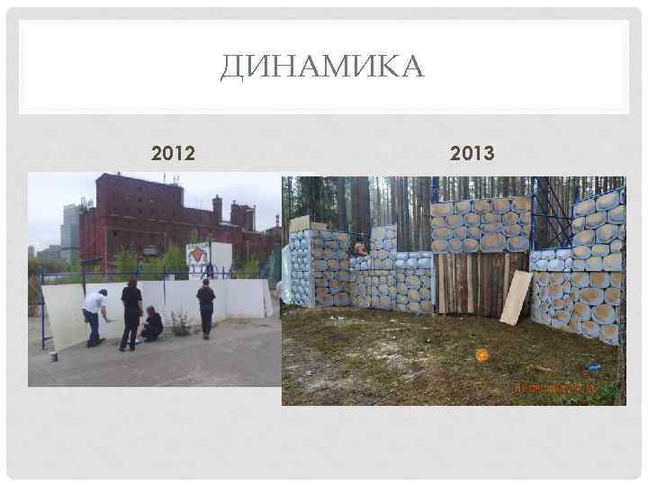ДИНАМИКА 2012 2013 