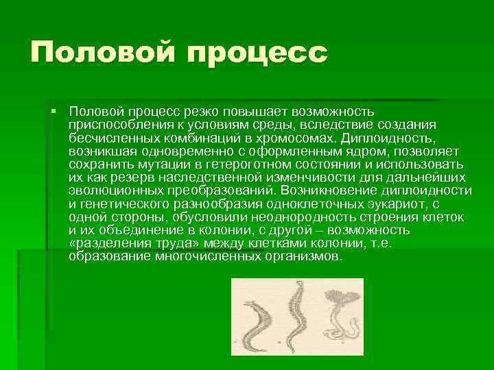 Половой процесс § Половой процесс резко повышает возможность приспособления к условиям среды, вследствие создания