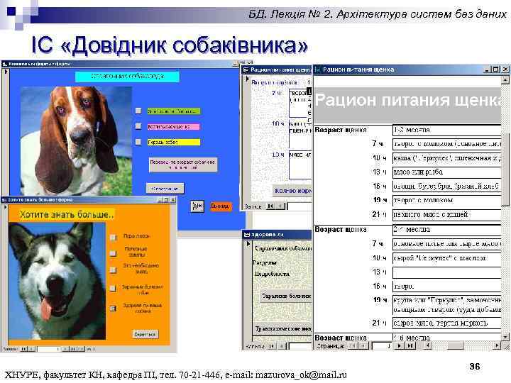 БД. Лекція № 2. Архітектура систем баз даних ІС «Довідник собаківника» ХНУРЕ, факультет КН,