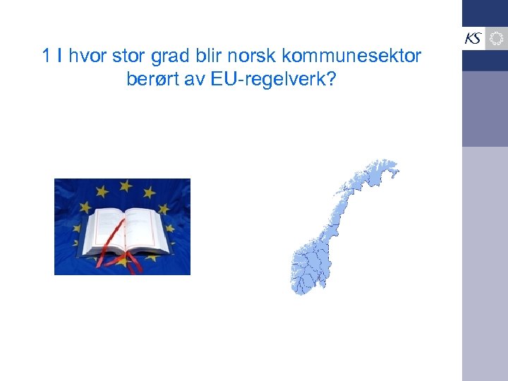 1 I hvor stor grad blir norsk kommunesektor berørt av EU-regelverk? 