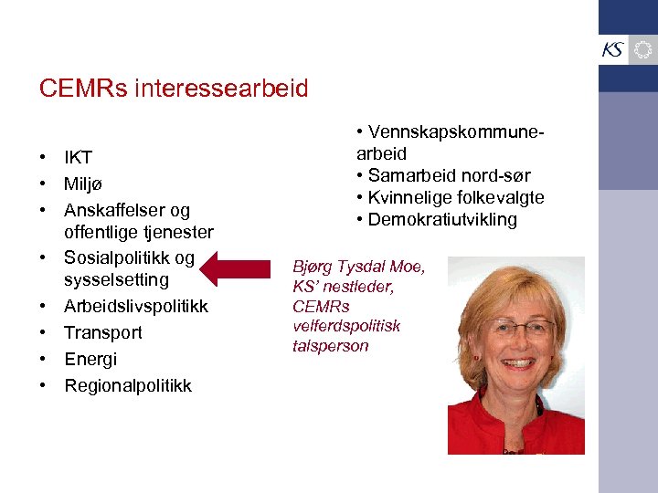 CEMRs interessearbeid • IKT • Miljø • Anskaffelser og offentlige tjenester • Sosialpolitikk og