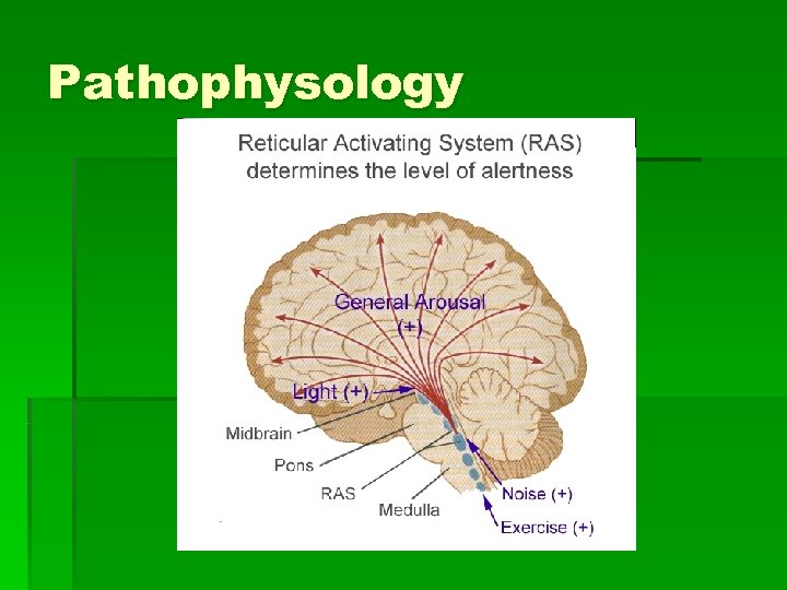 Pathophysology 