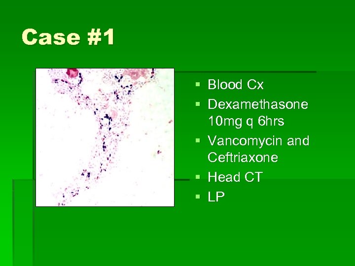 Case #1 § Blood Cx § Dexamethasone 10 mg q 6 hrs § Vancomycin