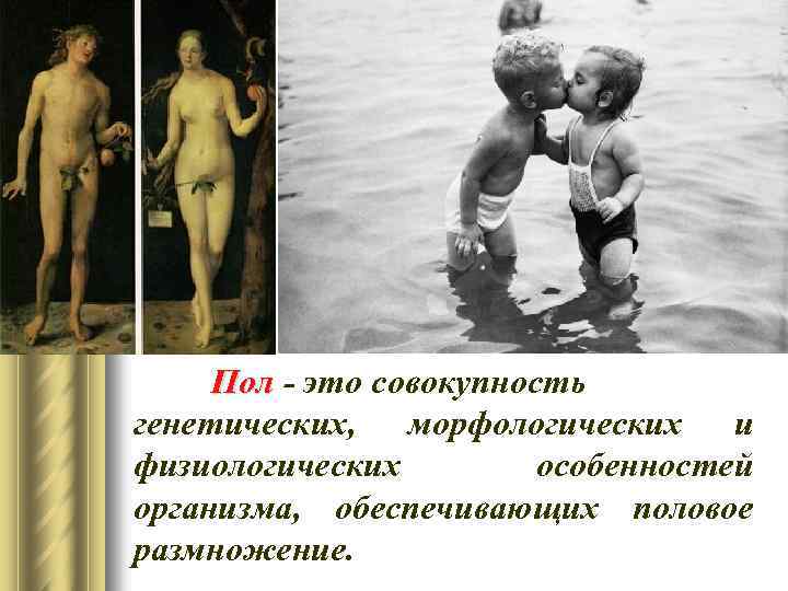 Пол - это совокупность генетических, морфологических и физиологических особенностей организма, обеспечивающих половое размножение. 