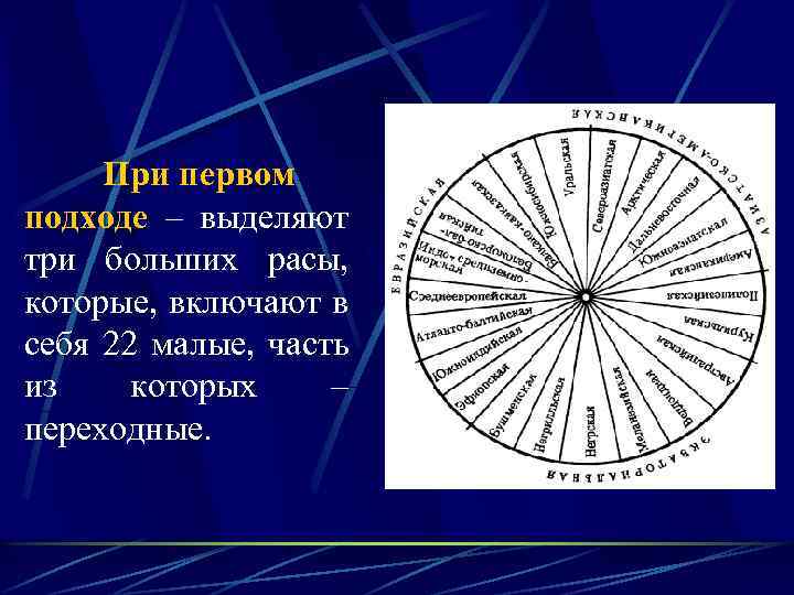 При первом подходе – выделяют три больших расы, которые, включают в себя 22 малые,