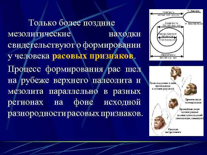 Только более поздние мезолитические находки свидетельствуют о формировании у человека расовых признаков. Процесс формирования