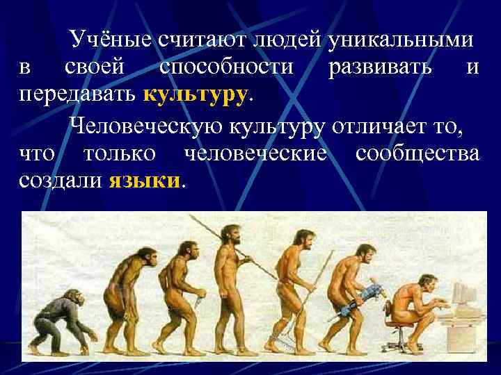 Учёные считают людей уникальными в своей способности развивать и передавать культуру. Человеческую культуру отличает