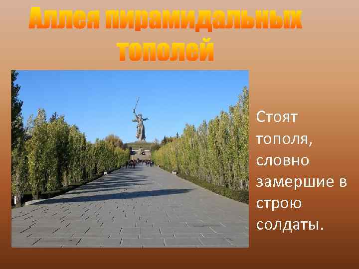Стоят тополя, словно замершие в строю солдаты. 