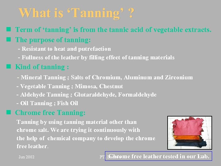 What is ‘Tanning’ ? n Term of ‘tanning’ is from the tannic acid of