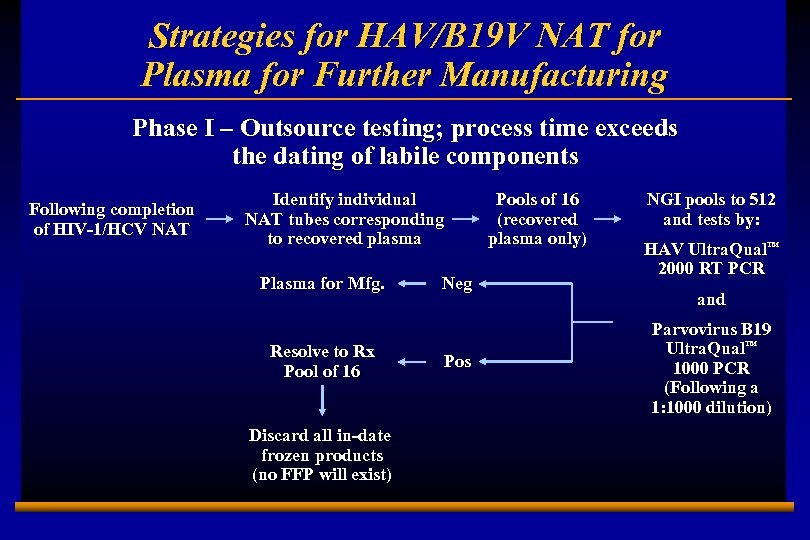 Strategies for HAV/B 19 V NAT for Plasma for Further Manufacturing Phase I –