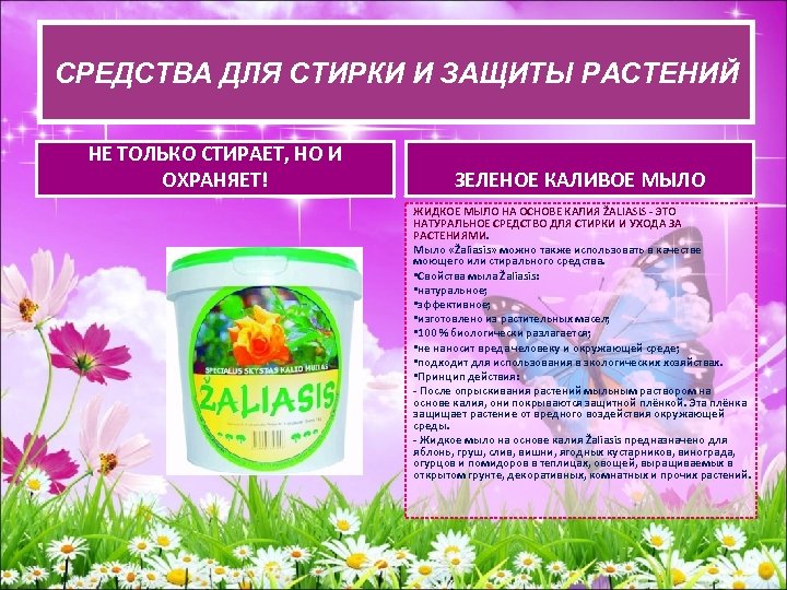 СРЕДСТВА ДЛЯ СТИРКИИ ЗАЩИТЫ РАСТЕНИЙ СРЕДСВА ДЛЯ СТИРКИ И ЗАЩИТЫ РАСТЕНИЙ НЕ ТОЛЬКО СТИРАЕТ,