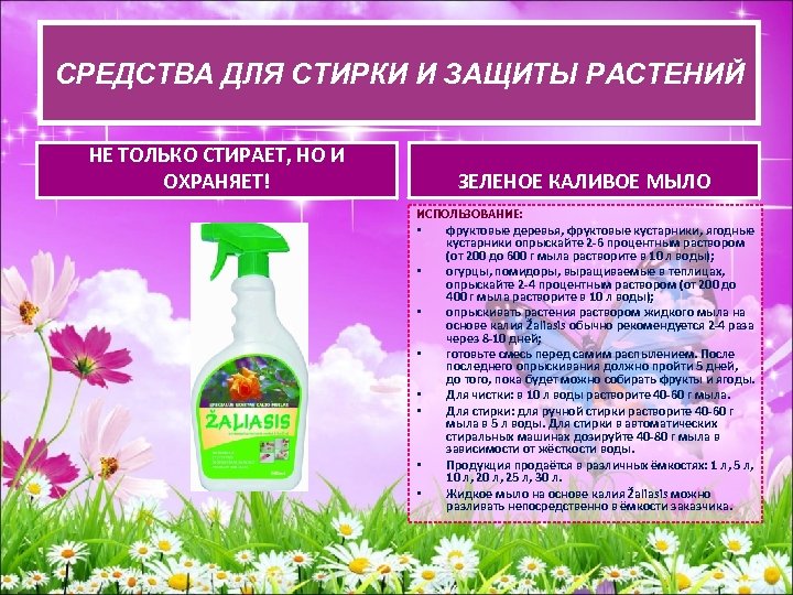 СРЕДСТВА ДЛЯ СТИРКИИ ЗАЩИТЫ РАСТЕНИЙ СРЕДСВА ДЛЯ СТИРКИ И ЗАЩИТЫ РАСТЕНИЙ НЕ ТОЛЬКО СТИРАЕТ,