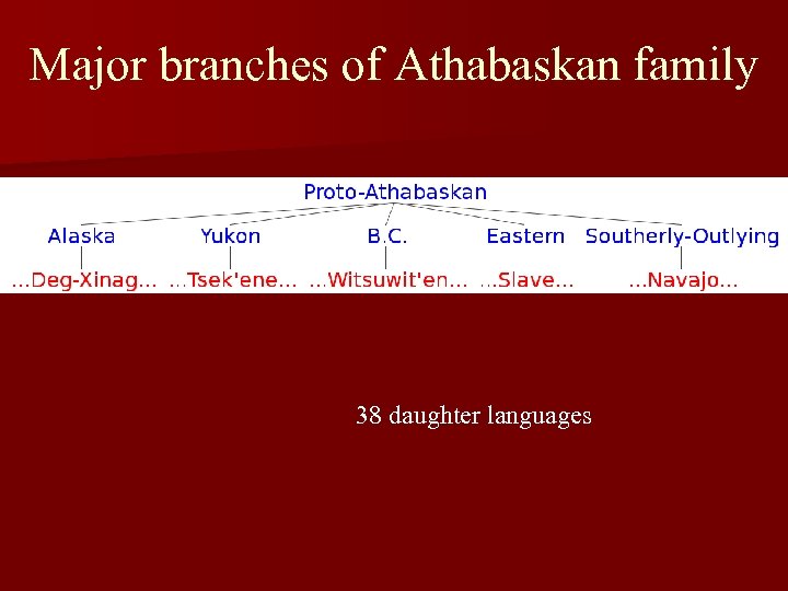 Major branches of Athabaskan family 38 daughter languages 
