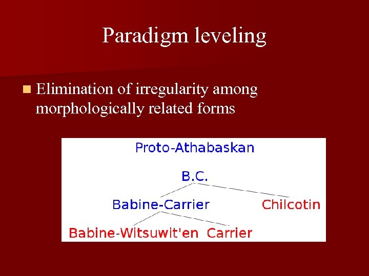 Paradigm leveling n Elimination of irregularity among morphologically related forms 