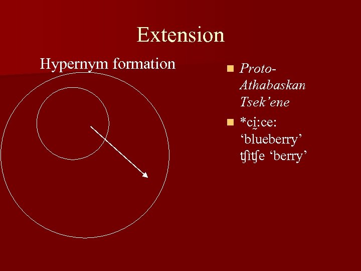 Extension Hypernym formation Proto. Athabaskan Tsek’ene n *ci : ce: ‘blueberry’ ʧɪ ʧe ‘berry’